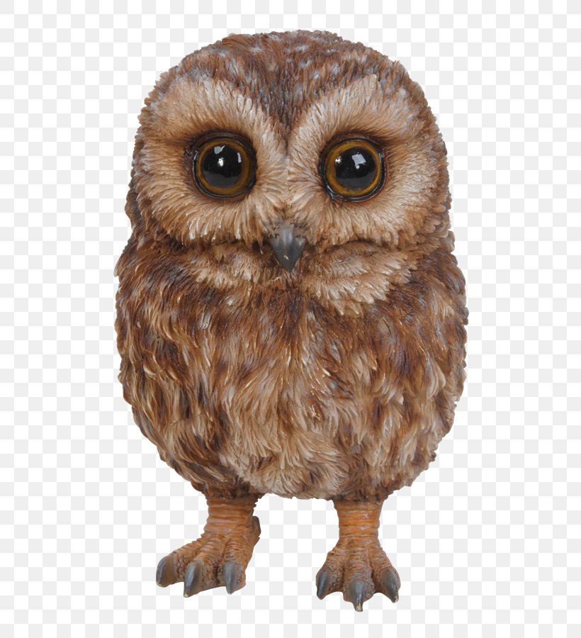 Tawny Owl Bird Of Prey Garden Ornament, PNG, 583x900px, Owl, Animal, Barn Owl, Beak, Bird Download Free