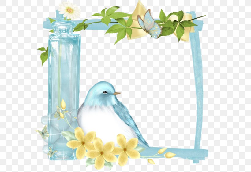 Picture Frame Film Frame Photography, PNG, 600x564px, Picture Frame, Animation, Beak, Bird, Blue Download Free