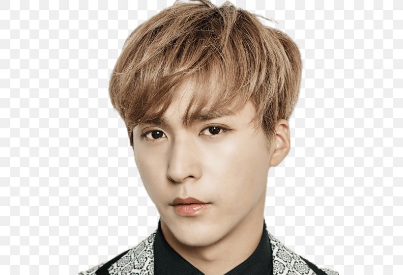 Son Dong-woon Highlight South Korea Fan Club, PNG, 560x560px, Son Dongwoon, Bangs, Blond, Brown Hair, Cheek Download Free