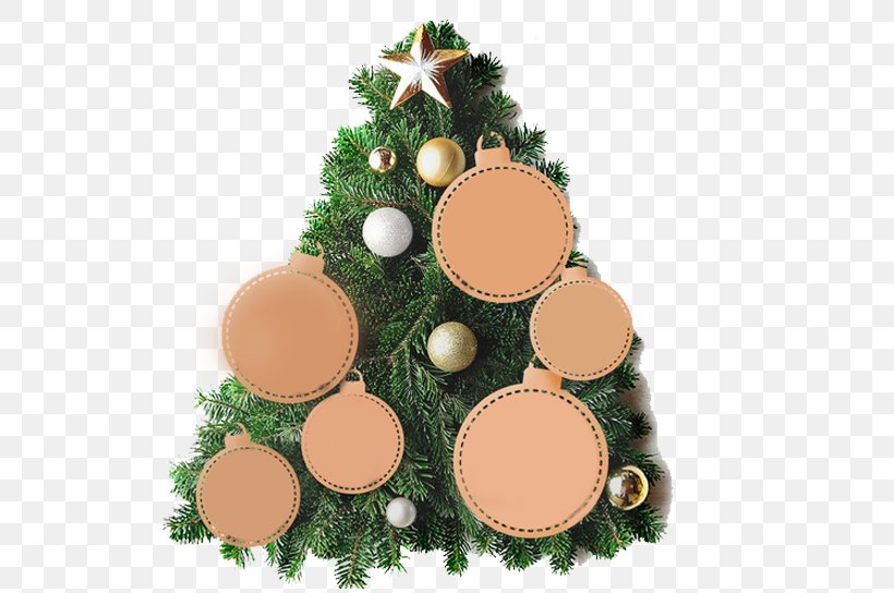 Christmas Tree Gratis Christmas Ornament, PNG, 652x544px, Christmas Tree, Christmas, Christmas Decoration, Christmas Ornament, Conifer Download Free