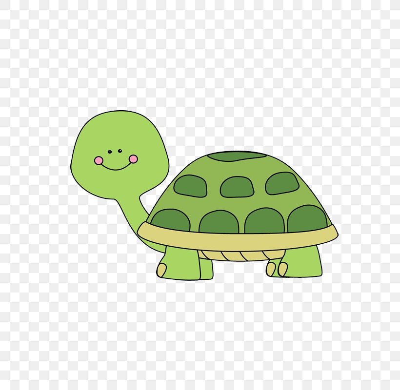 Green Sea Turtle Clip Art Image Free Content, PNG, 800x800px, Turtle, Cartoon, Child, Cuteness, Drawing Download Free
