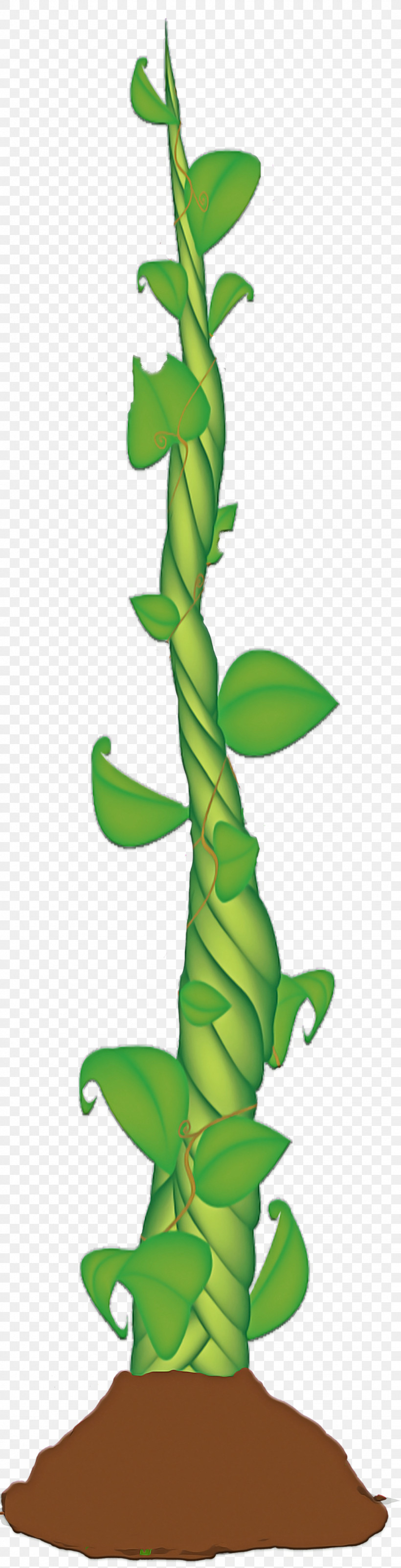 Leaf Plant Stem Cartoon Tree Plant, PNG, 1024x4000px, Leaf, Biology, Cartoon, Plant, Plant Stem Download Free