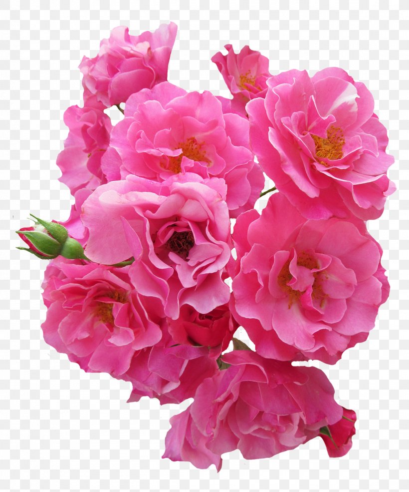 Rose Pink Flowers, PNG, 1150x1382px, Rose, Annual Plant, Artificial Flower, Azalea, Blossom Download Free