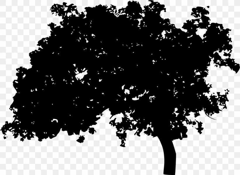 Silhouette Tree Photography Light, PNG, 1024x748px, Silhouette, Black, Black And White, Branch, Flora Download Free
