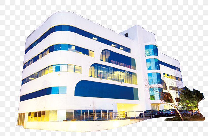 Commercial Building Architecture Brand Property, PNG, 800x536px, Commercial Building, Architecture, Brand, Building, Commercial Property Download Free