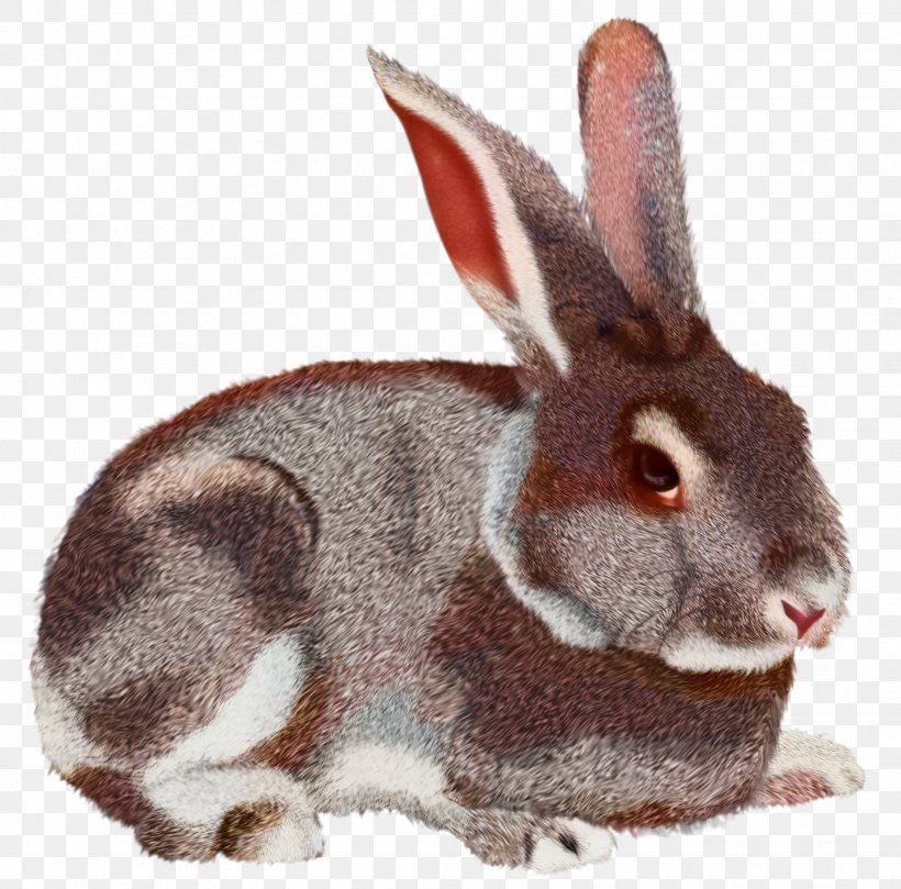 Hare Domestic Rabbit Clip Art Rabbit Rabbit Rabbit, PNG, 1848x1825px, Hare, Animal Figure, Black Tailed Jackrabbit, Cottontail Rabbit, Domestic Rabbit Download Free