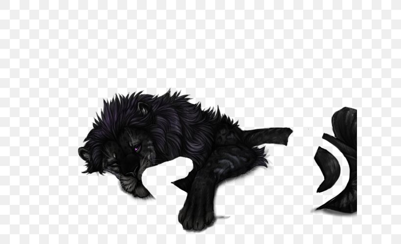 Affenpinscher Cat Fur Black Panther Dog, PNG, 640x500px, Affenpinscher, Black Cat, Black Panther, Carnivoran, Cat Download Free