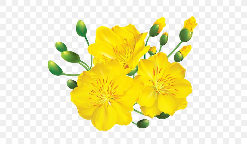 Drawing Image Lunar New Year Plum Blossom Art, PNG, 600x479px, Drawing, Art, Chinese New Year, Common Evening Primrose, Evening Primrose Download Free