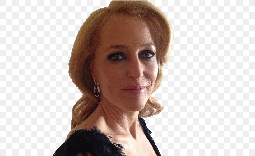 Gillian Anderson Dana Scully Photography, PNG, 500x501px, Gillian Anderson, Blond, Brown Hair, Chin, Color Motion Picture Film Download Free