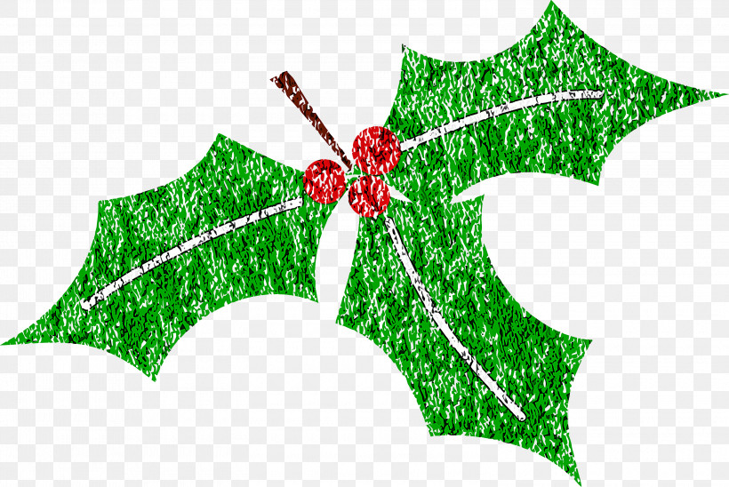 Holly Christmas Ornament, PNG, 3000x2005px, Holly, Christmas Ornament, Green, Leaf, Plane Download Free