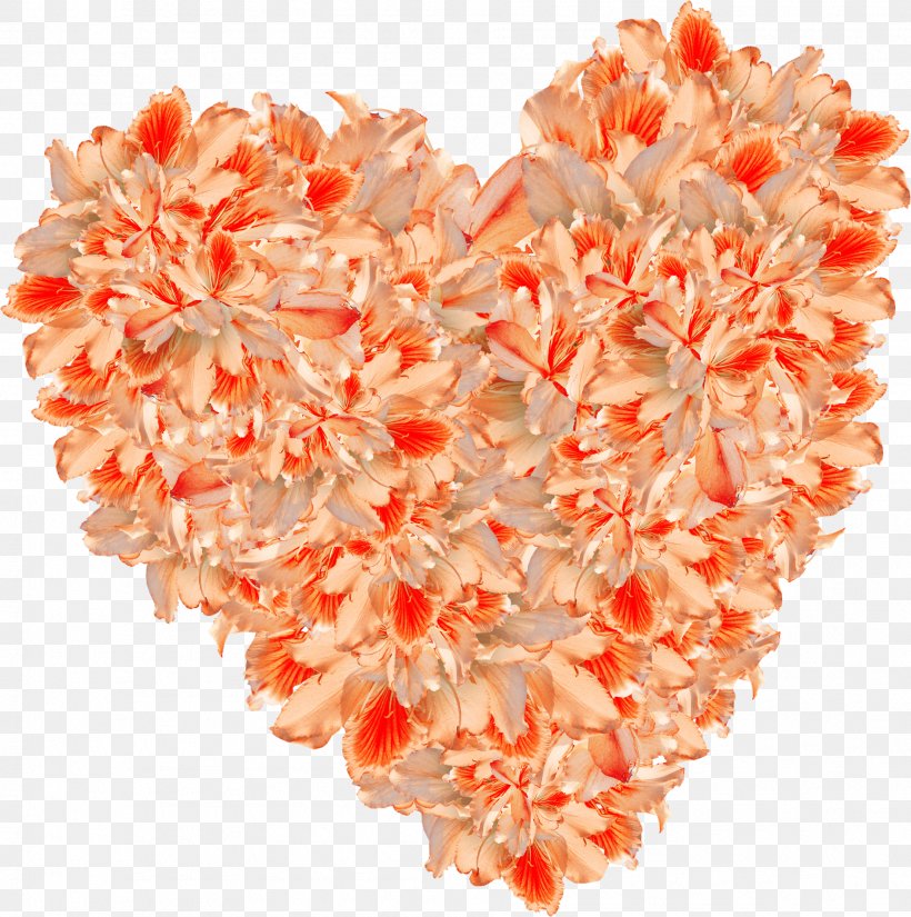 Orange Heart Flower, PNG, 1887x1900px, Orange, Cut Flowers, Flower, Heart, Peach Download Free