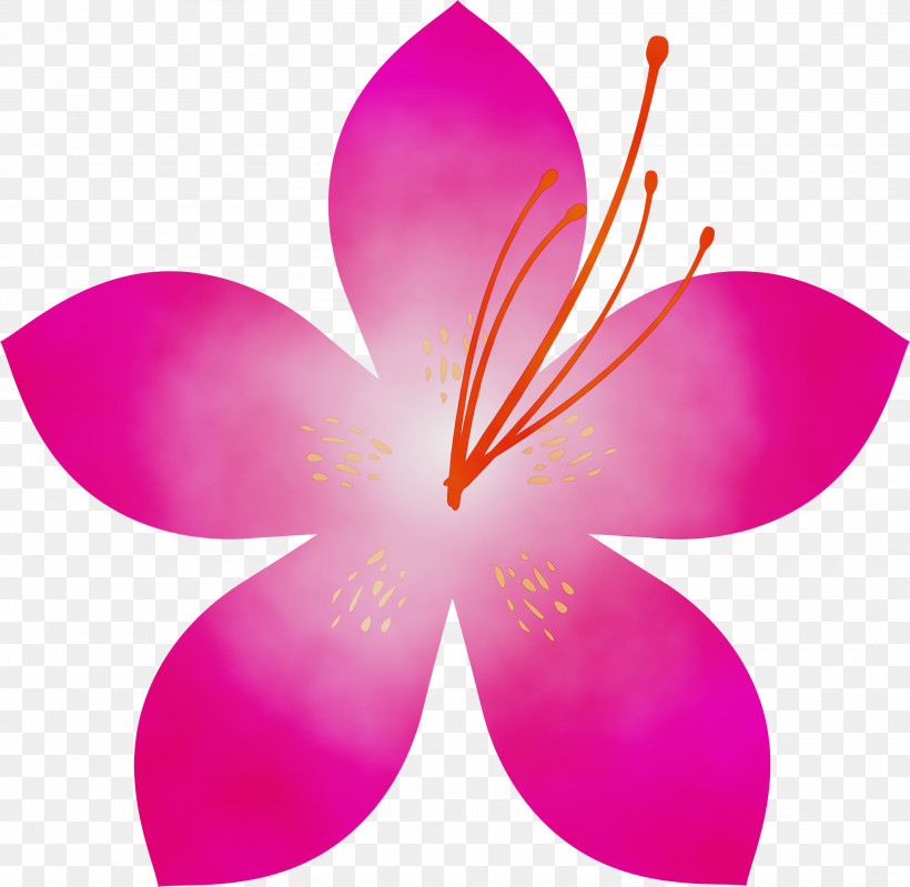 Petal Pink Flower Plant Frangipani, PNG, 3000x2926px, Azalea, Azalea Flower, Butterfly, Flower, Frangipani Download Free