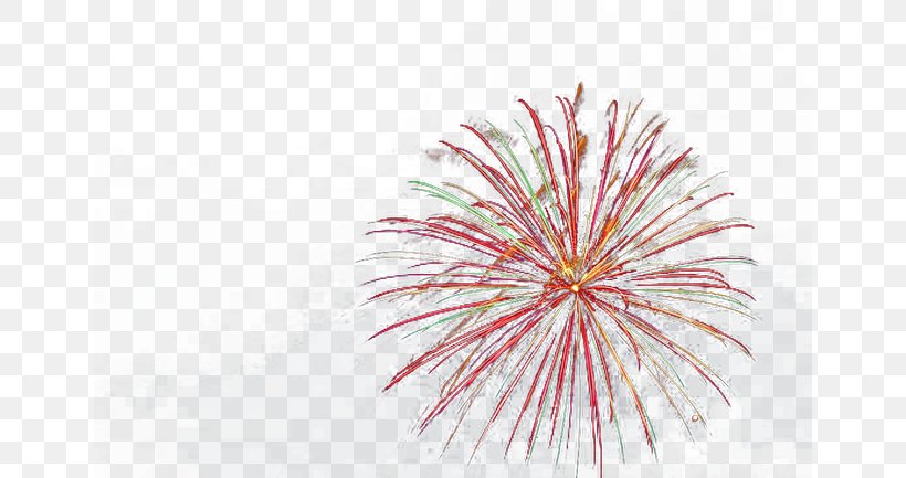 Fireworks Festival Firecracker Chinese New Year, PNG, 650x433px, Fireworks, Chinese New Year, Christmas, Drawing, Festival Download Free