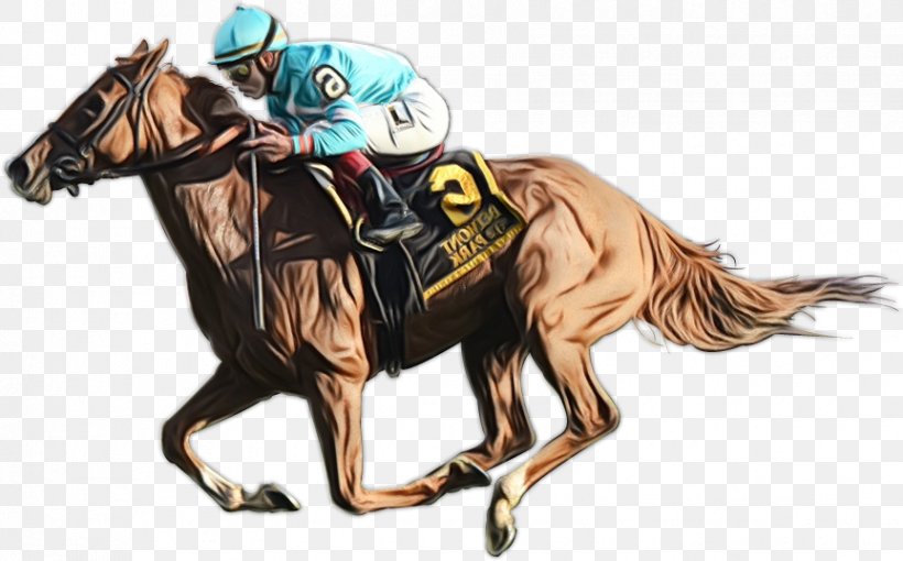 Horse Animal Sports Rein Horse Racing Working Animal, PNG, 863x537px, Watercolor, Animal Sports, Horse, Horse Racing, Horse Trainer Download Free
