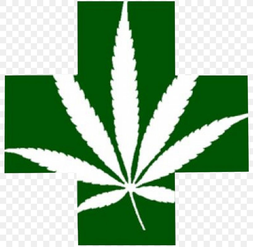 Encanto Green Cross Dispensary Medical Cannabis Cannabis Shop, PNG, 800x800px, Cannabis, Aids, Arizona, California, Cannabis Sativa Download Free