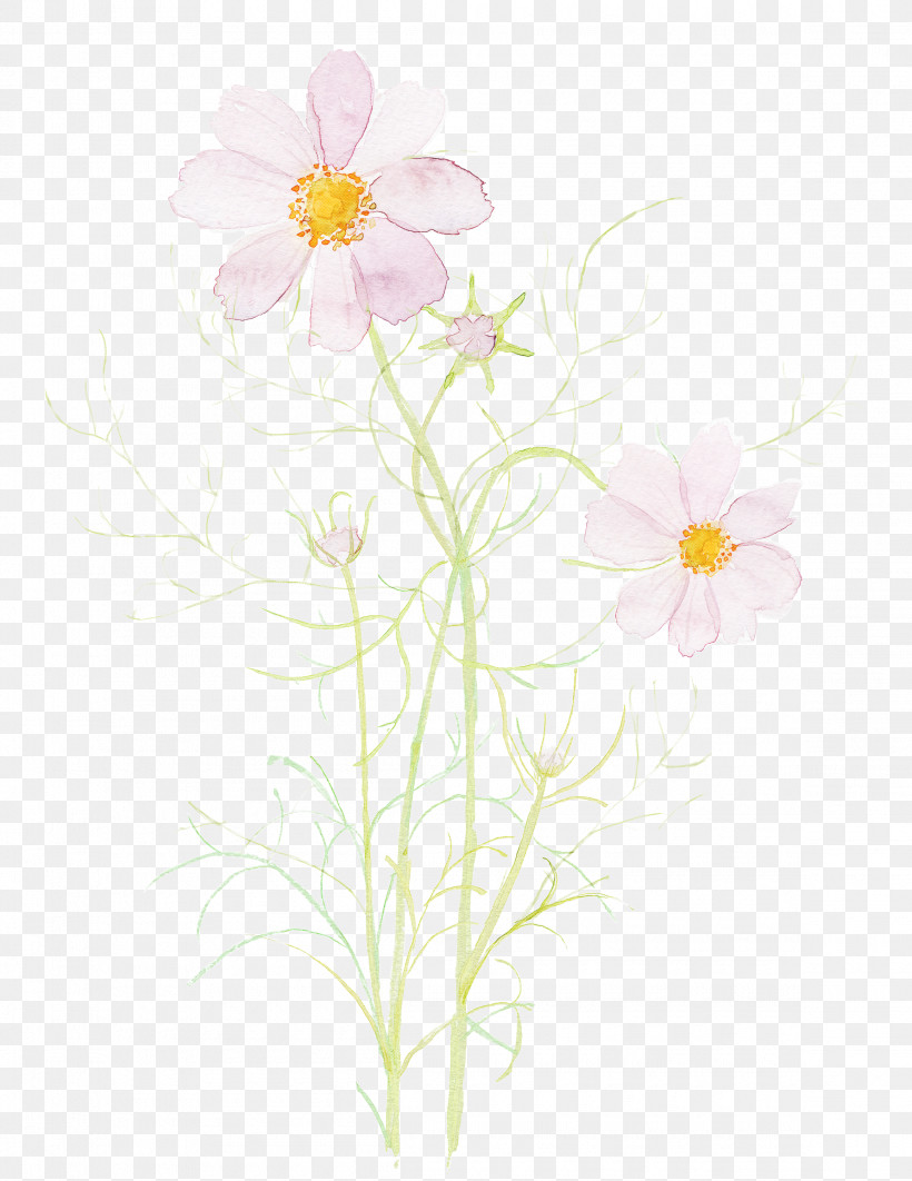 Flower Petal Plant Wildflower Japanese Anemone, PNG, 2315x3000px, Watercolor Flower, Anemone, Camomile, Chamomile, Cosmos Download Free