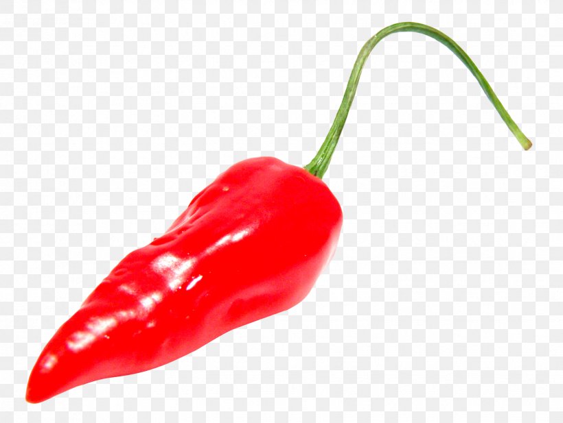 Habanero Chili Pepper Tabasco Pepper Serrano Pepper, PNG, 1736x1308px, Habanero, Bell Pepper, Bell Peppers And Chili Peppers, Birds Eye Chili, Capsicum Download Free