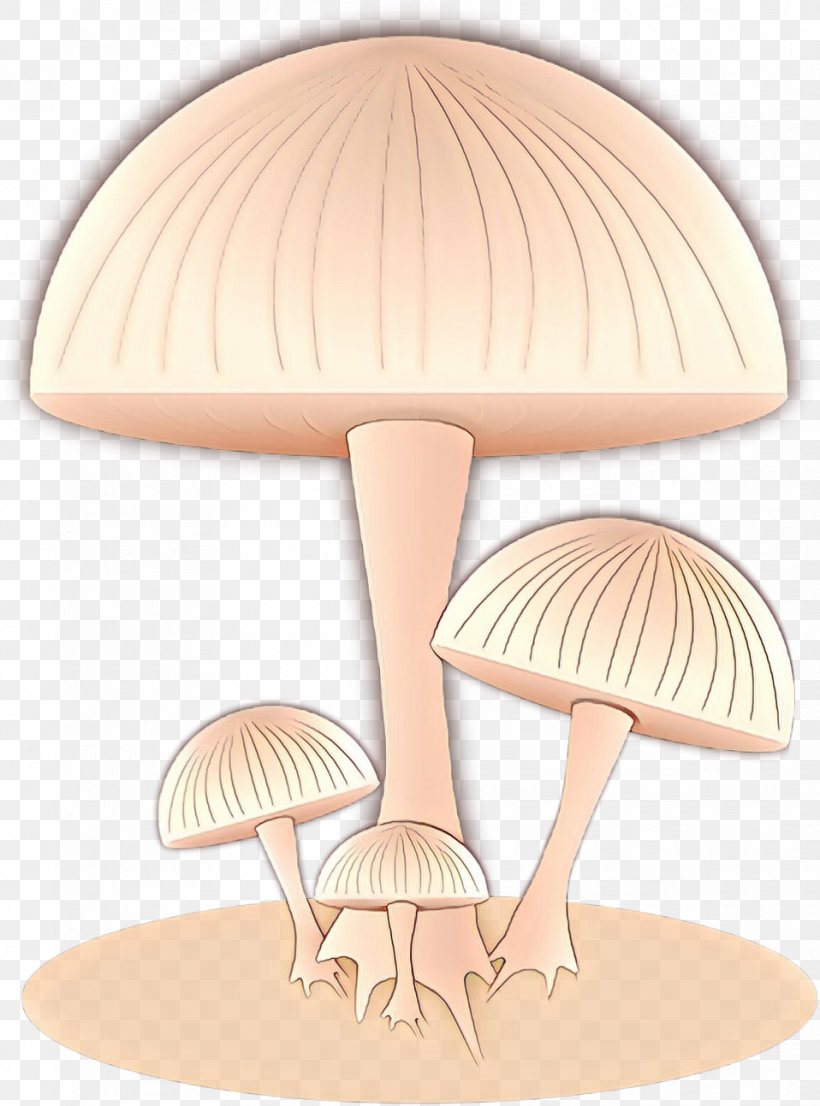 /m/083vt Product Design Wood Cartoon Mushroom, PNG, 958x1293px, M083vt, Agaricaceae, Agaricomycetes, Art, Beige Download Free