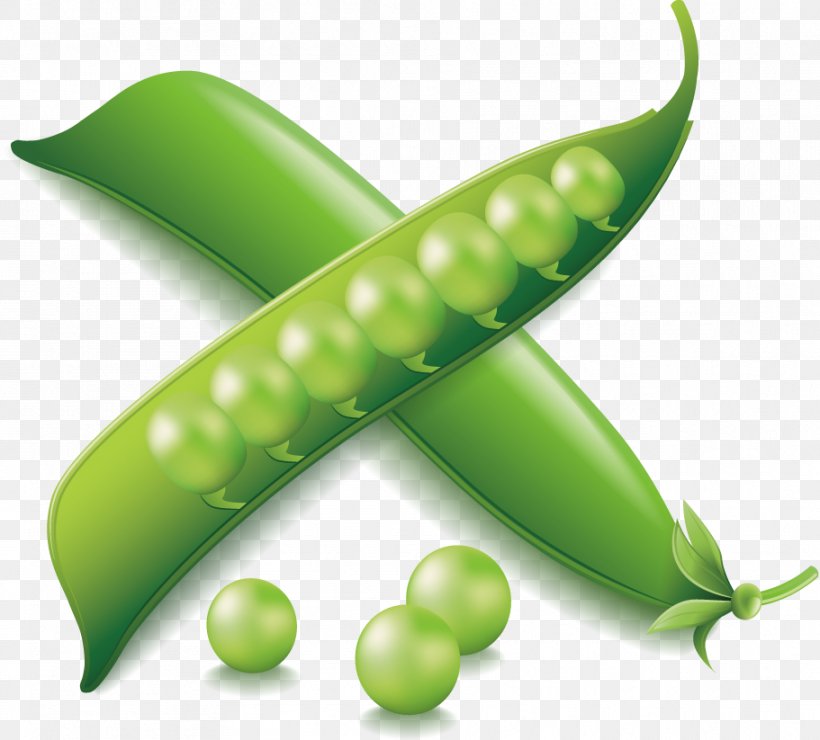 Vegetable Euclidean Vector Icon, PNG, 911x823px, Vegetable, Common Bean, Food, Fruit, Green Download Free