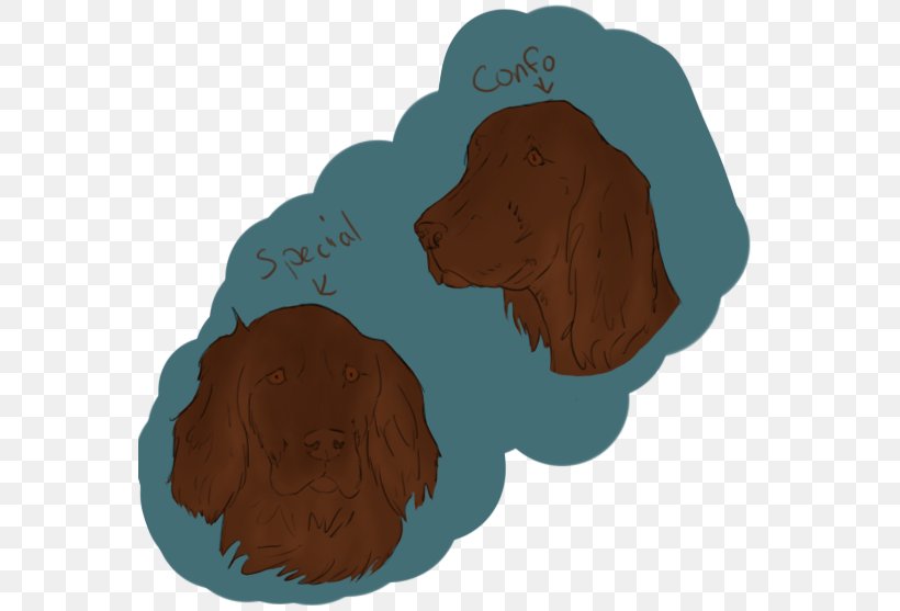 Boykin Spaniel Irish Setter, PNG, 567x557px, Boykin Spaniel, Carnivoran, Dog, Dog Like Mammal, Irish Setter Download Free