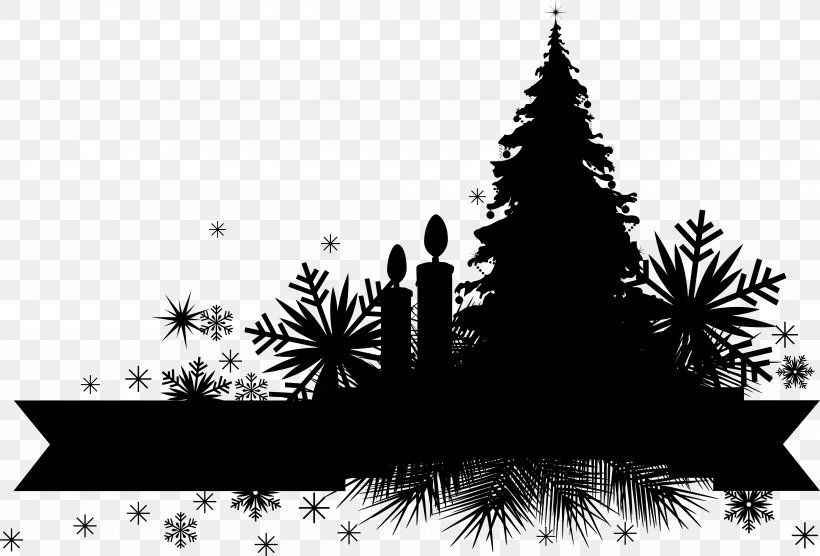 Christmas Tree Spruce Fir Christmas Ornament Christmas Day, PNG, 5000x3396px, Christmas Tree, Arecales, Blackandwhite, Branch, Christmas Day Download Free