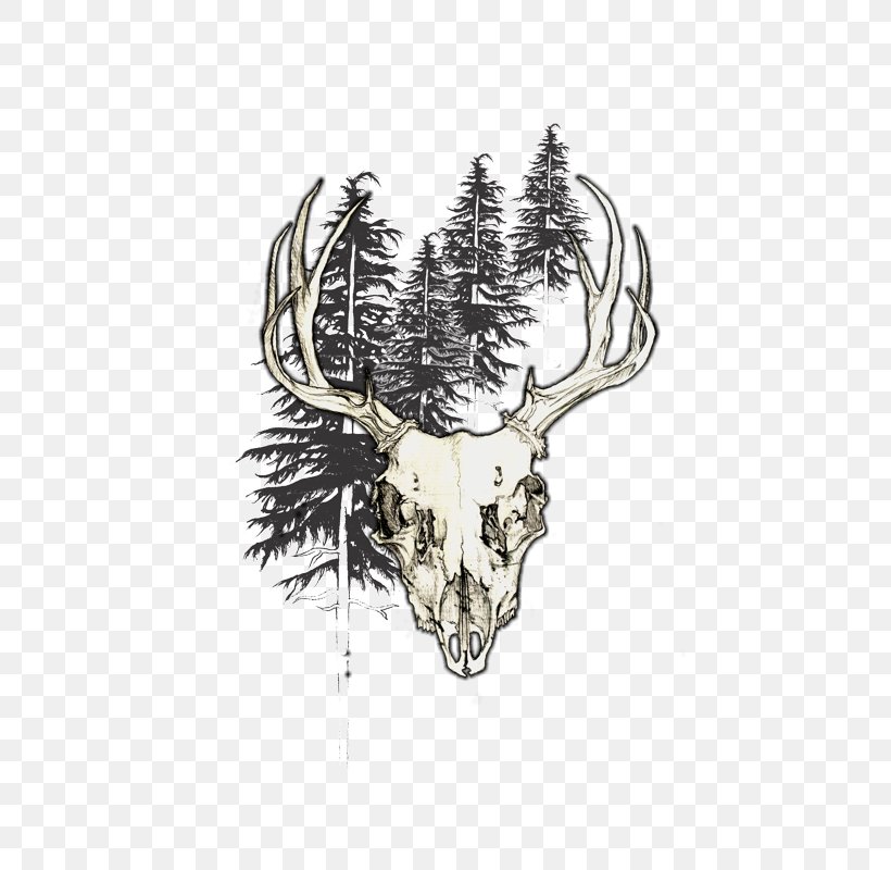 Deer Design By Humans /m/02csf Antler, PNG, 640x800px, Deer, Antler, Black And White, Bone, Business Download Free