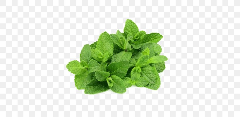 Mentha Spicata Peppermint Stock Photography Menthol, PNG, 400x400px, Mentha Spicata, Aroma Compound, Flavor, Herb, Herbalism Download Free