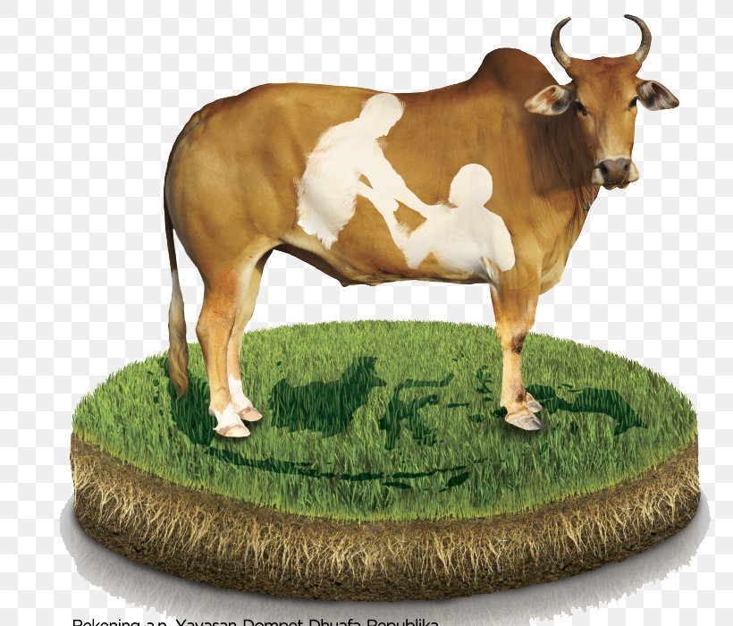 Alhajj Travel Klopo Warung Steak Dairy Cattle Umrah, PNG, 818x700px, Hajj, Alhajj, Bull, Calf, Cattle Like Mammal Download Free