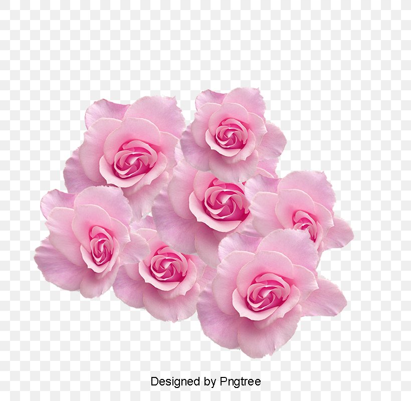 Garden Roses Cherry Blossom Image Psd Graphics, PNG, 800x800px, Garden Roses, Artificial Flower, Blossom, Cerasus, Cherry Blossom Download Free