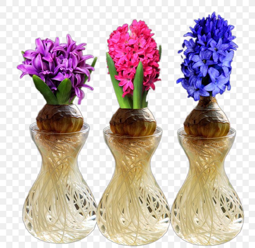 Hyacinthus Orientalis Cut Flowers Common Water Hyacinth Blue Plant, PNG, 800x800px, Hyacinthus Orientalis, Artificial Flower, Blue, Common Water Hyacinth, Cut Flowers Download Free