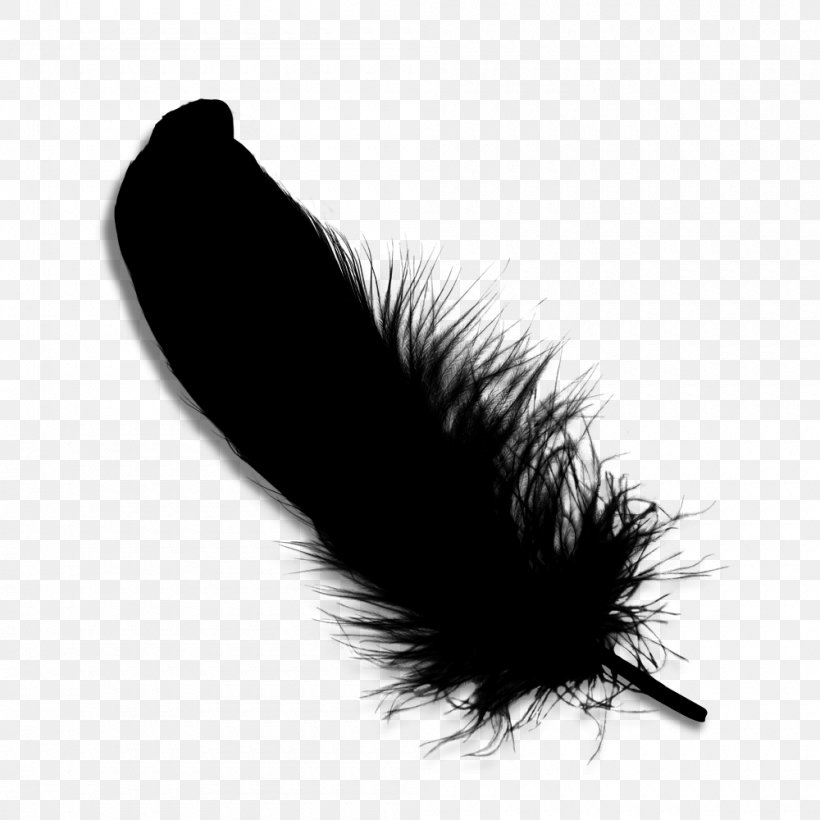 Feather Eyelash Black M, PNG, 1000x1000px, Feather, Black, Black Hair, Black M, Blackandwhite Download Free
