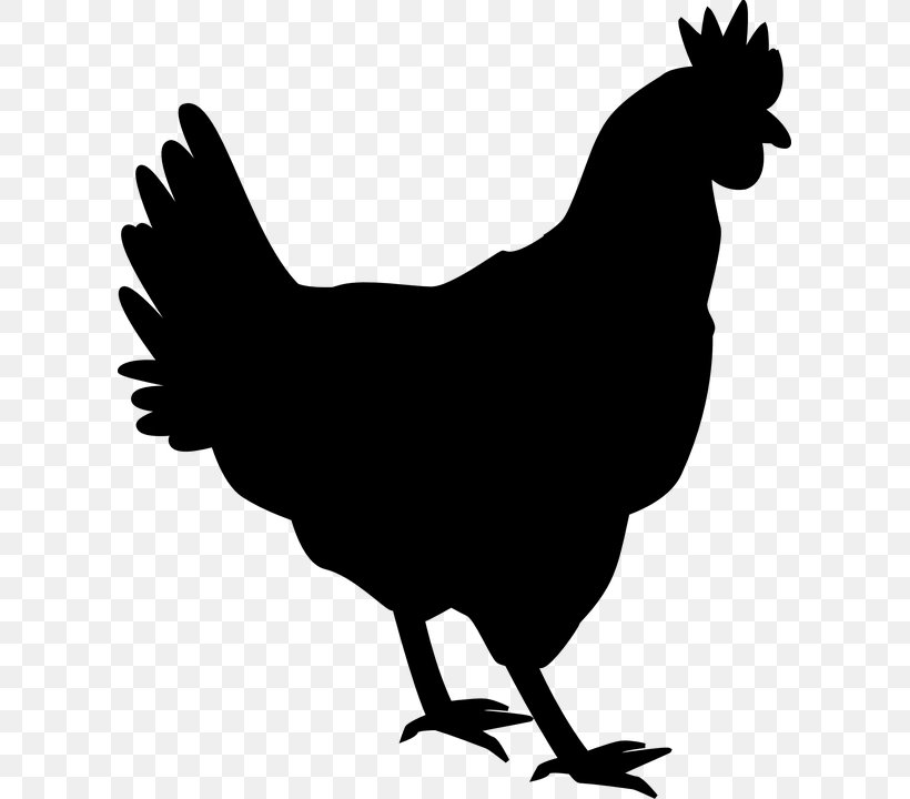 Chicken Rooster Silhouette Hen Clip Art, PNG, 607x720px, Chicken, Art, Beak, Bird, Black And White Download Free