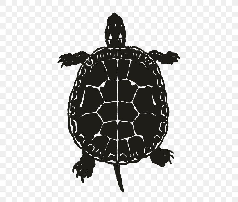 Green Sea Turtle Clip Art Reptile, PNG, 696x696px, Turtle, Black And White, Box Turtles, Common Snapping Turtle, Emydidae Download Free