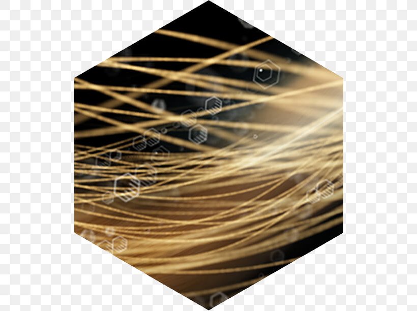 Hair Loss Minoxidil Human Hair Growth Lotion, PNG, 530x612px, Hair Loss, Botak, Capelli, Hair, Hair Follicle Download Free