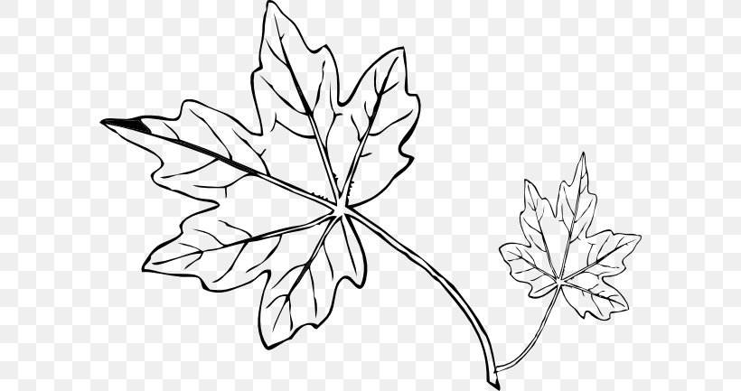 Maple Leaf Drawing Line Art Clip Art, PNG, 600x433px, Maple Leaf, Art, Artwork, Autumn, Autumn Leaf Color Download Free
