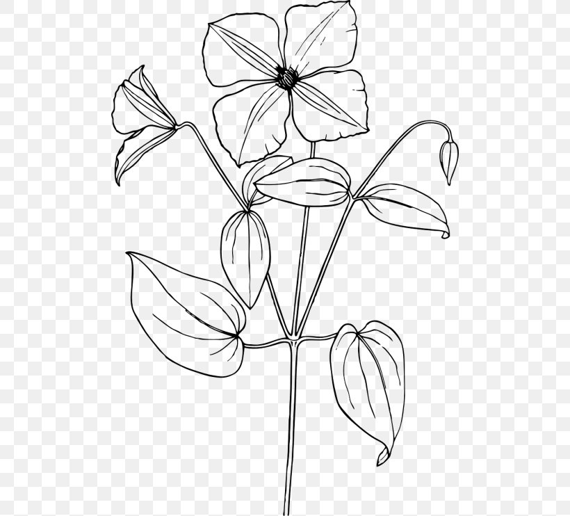Featured image of post Jasmine Flower Drawing