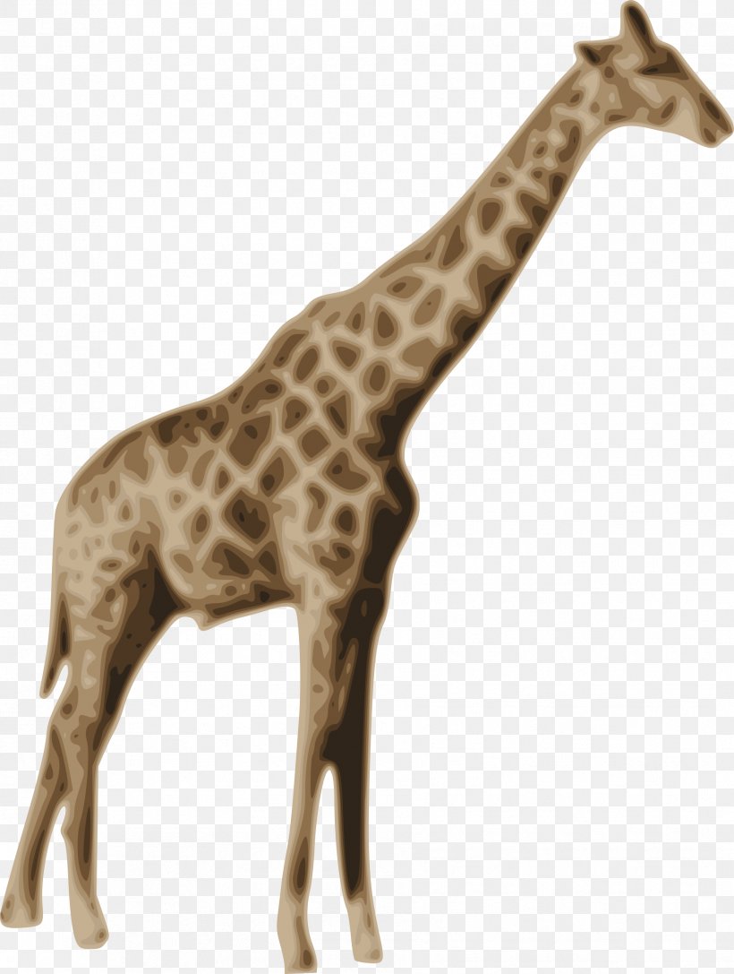 Northern Giraffe Windows Metafile Clip Art, PNG, 1809x2400px, Northern Giraffe, Description, Fauna, Giraffe, Giraffidae Download Free