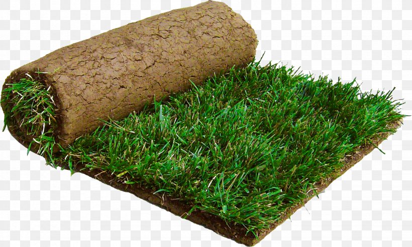 Sod Lawngrass Tall Fescue Kentucky Bluegrass, PNG, 1642x989px, Sod, Central Sod Farms, Fescues, Front Yard, Garden Download Free