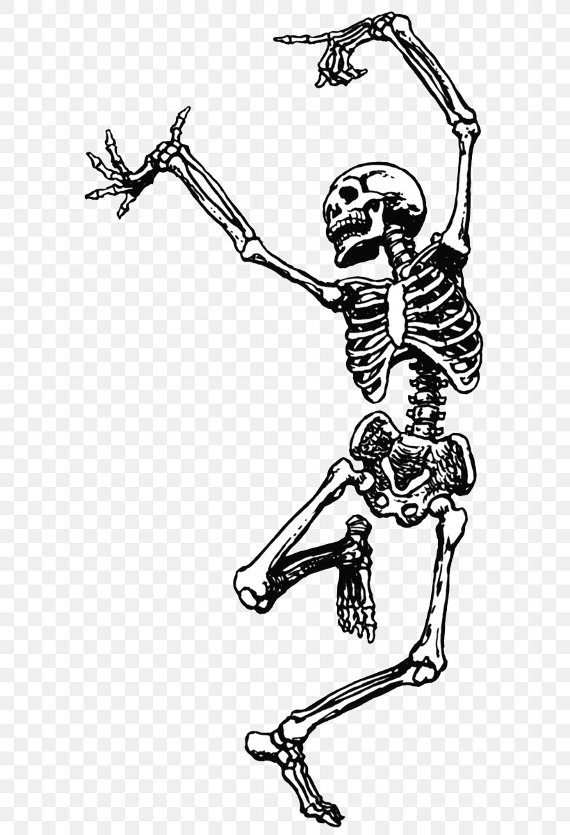 Skeleton Skull Dance Clip Art, PNG, 631x1200px, Skeleton, Animation, Area, Arm, Art Download Free
