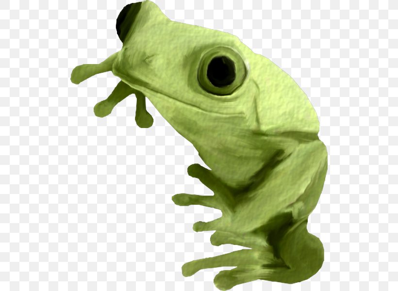 True Frog Clip Art, PNG, 530x600px, True Frog, Agalychnis, Amphibian, Animal Figure, Digital Image Download Free