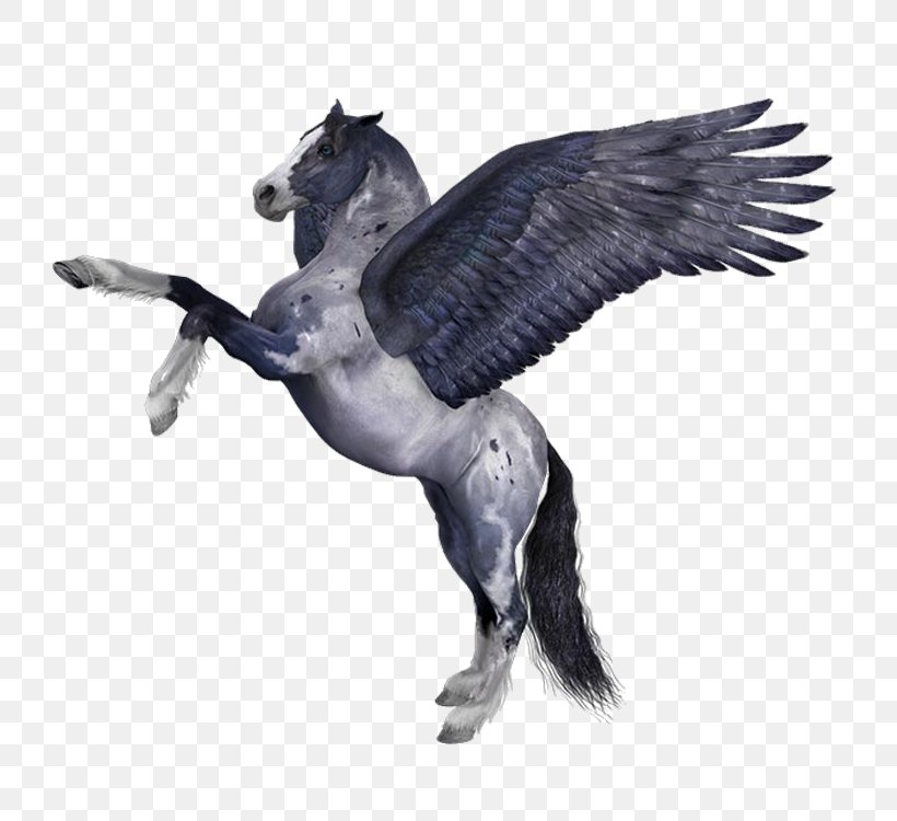 Horse Pegasus Medusa Image Myth, PNG, 750x750px, Horse, Beak, Bird, Drawing, Fauna Download Free