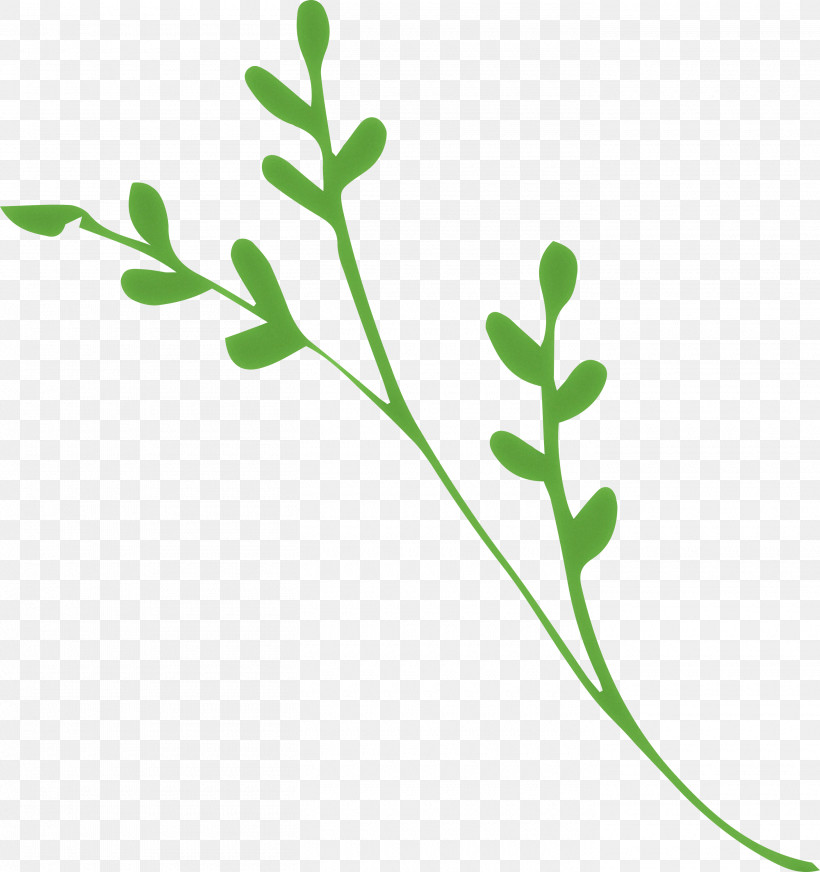 Leaf Branch, PNG, 2820x3000px, Leaf Branch, Branch, Evergreen, Flower, Herbaceous Plant Download Free