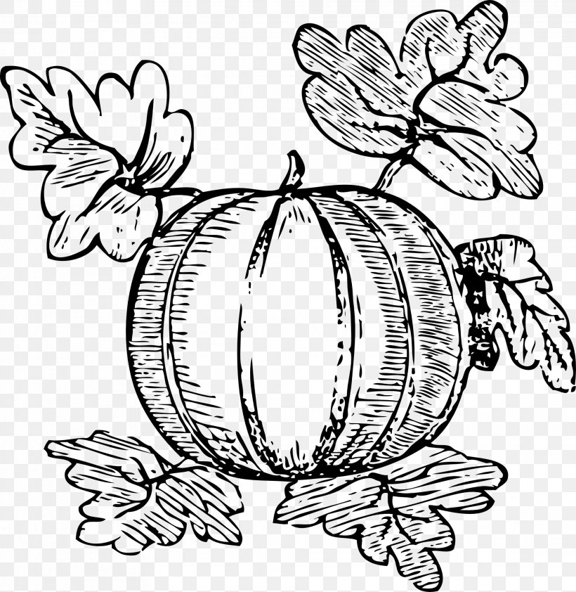 Watermelon Drawing Clip Art, PNG, 1969x2024px, Watermelon, Art, Artwork, Black And White, Butterfly Download Free