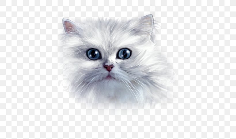 Asian Semi-longhair Ragamuffin Cat Siberian Cat Persian Cat Turkish Angora, PNG, 633x484px, Asian Semilonghair, Asian Semi Longhair, Bild, Blingee, British Semi Longhair Download Free