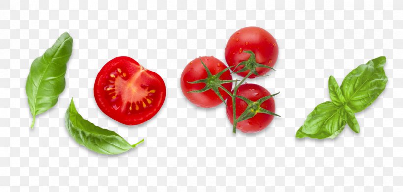 Bush Tomato Diet Food Basil, PNG, 1250x599px, Tomato, Basil, Bush Tomato, Diet, Diet Food Download Free