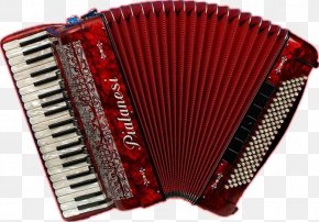 Accordion - Castelfidardo Piano Accordion Hohner Bass Guitar PNG