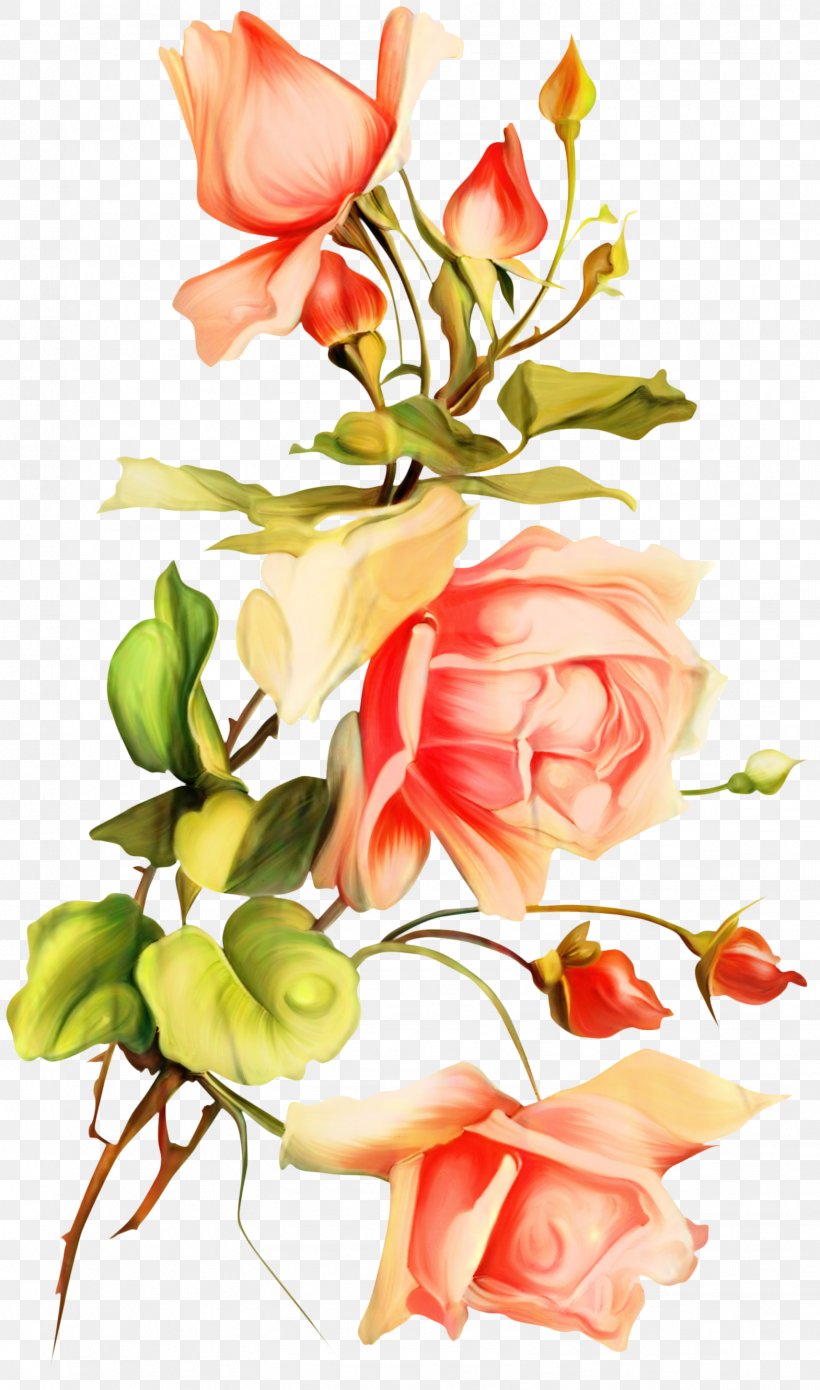 Garden Roses Floral Design Cut Flowers, PNG, 1569x2660px, Garden Roses, Artificial Flower, Botany, Bouquet, Cut Flowers Download Free
