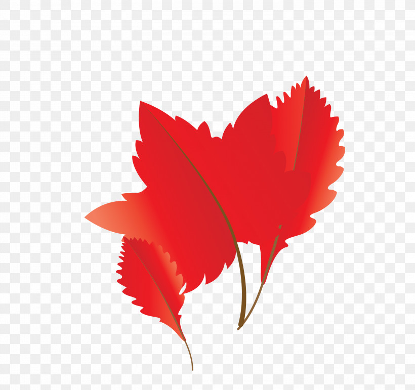 Maple Leaf, PNG, 3000x2824px, Autumn Leaf, Biology, Cartoon Leaf, Fall Leaf, Leaf Download Free