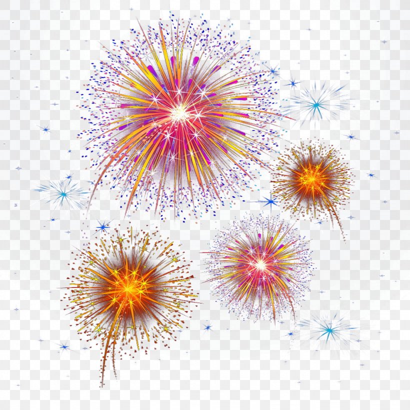 Point Geometry, PNG, 1024x1024px, Point, Drawing, Fireworks, Flower, Flowering Plant Download Free