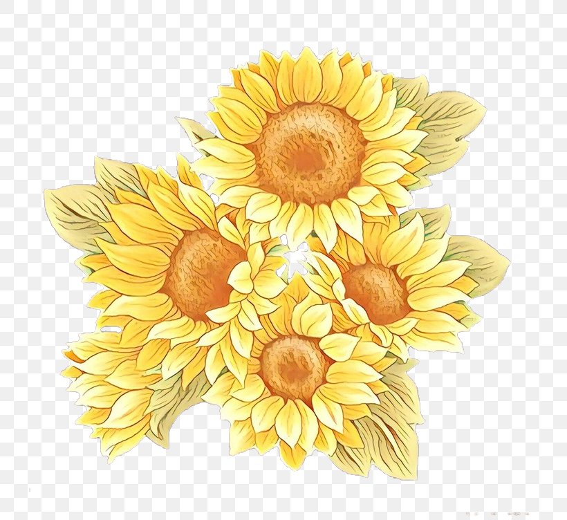 Sunflower, PNG, 736x752px, Cartoon, Cut Flowers, Flower, Flowering Plant, Gerbera Download Free